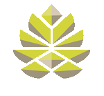 logo NP Rolpin fabricant de contreplaqué pin maritime