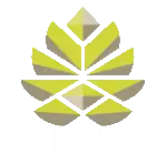 logo NP Rolpin fabricant de contreplaqué pin maritime